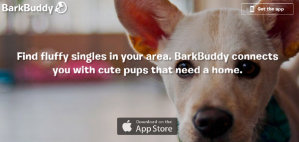 BarkBuddy – Tinder-приложение для поиска собак