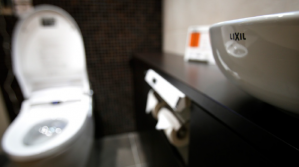В США назревает революция смарт-туалетов