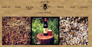 Plan Bee — умный улей, который позаботится о пчелах