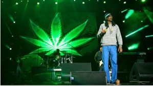 Рэпер Snoop Dogg создал фонд для марихуанных стартапов