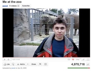 YouTube-зоопарки – весьма интересный формат
