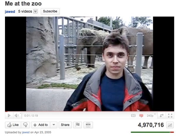 Youtube zoo