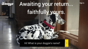 Woofyz — социальная сеть для владельцев собак 