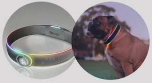 Светящийся GPS ошейник обеспечит безопасность и здоровье собаки