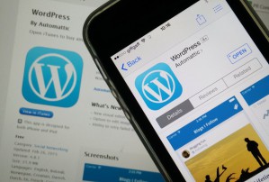 25% сайтов в мире работает на WordPress