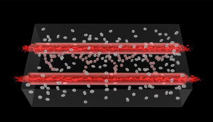 Ученые создали «настоящие» кровеносные сосуды с помощью 3D печати