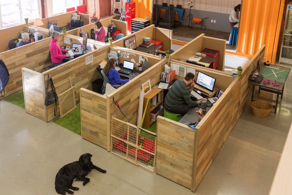 dogs-office