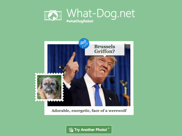 donald-trump-is-a-brussels-griffon-note-the-description-includes-face-of-a-werewolf.jpg