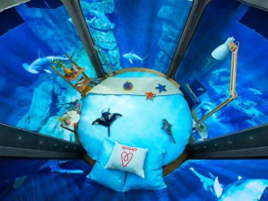 Подводная спальня с акулами на Airbnb