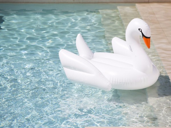 inflatableswan