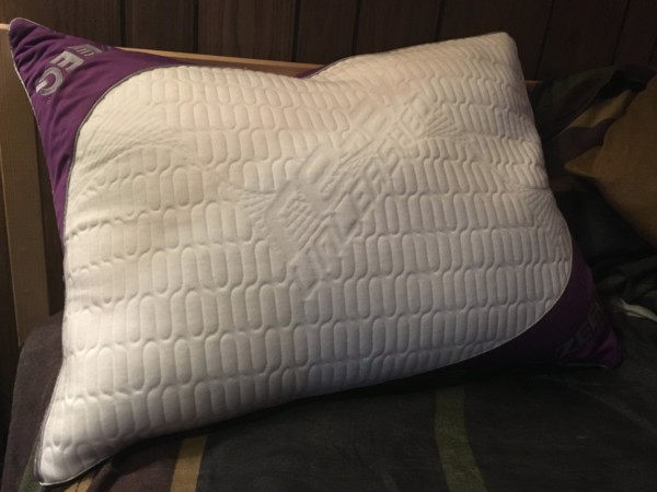 zeeq-pillow