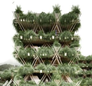 Удивительный бамбуковый дом