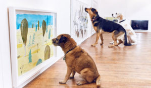 Лондонская арт-выставка для собак