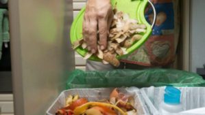 Сингапурский стартап, стремящийся уменьшить количество пищевых отходов